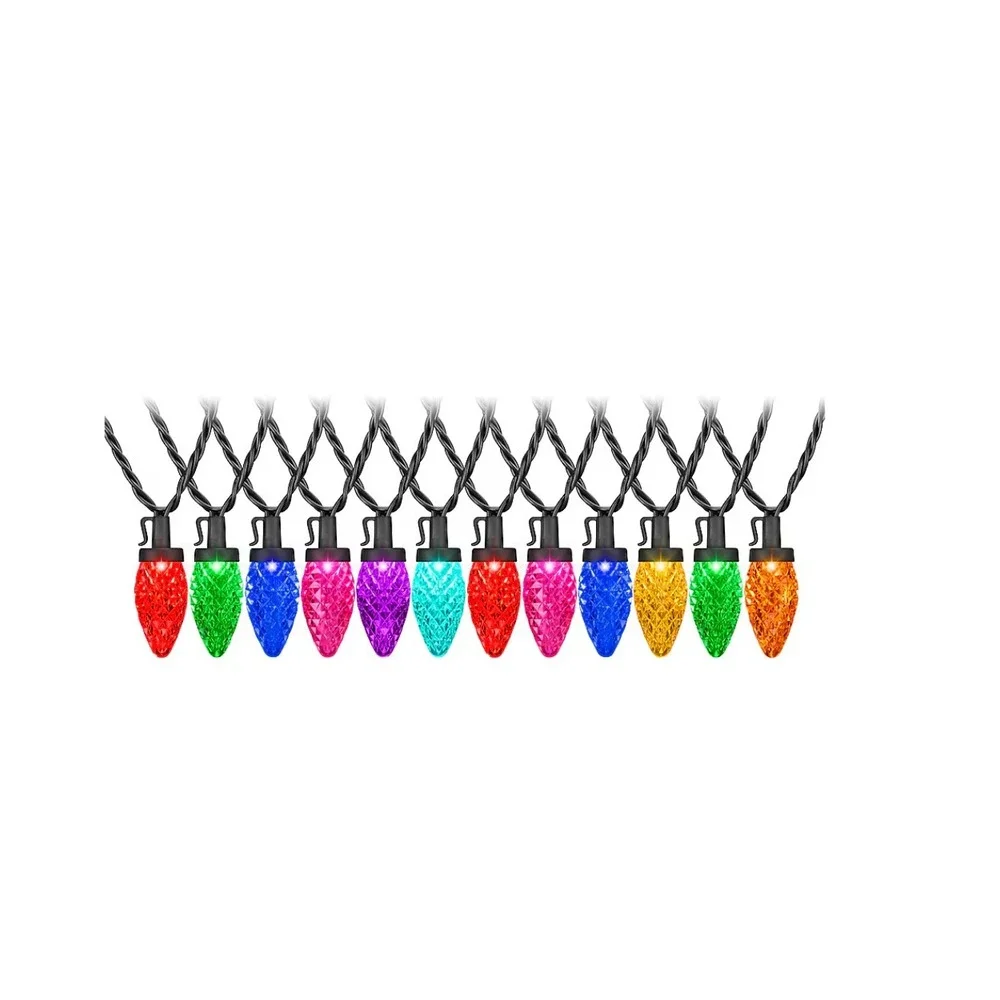 Gemmy Lightshow 24 Light 23 ft C9 Color Motion‎ Multicolor LED Lights